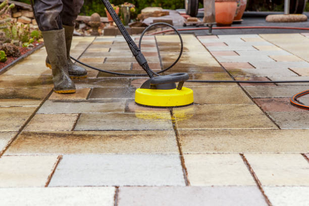 Animal Enclosure Cleaning in Indiana, PA